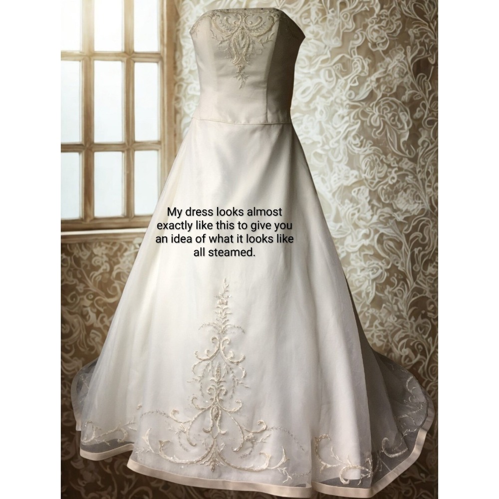 Michaelangelo Ivory Strapless Embroidered Wedding Dress 6 W/ 2 Veils & Petticoat - Picture 2 of 12